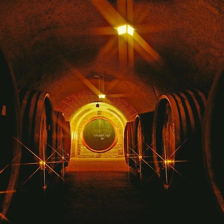 Grape&Wine Guesthouse Eger Luaran gambar